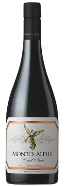 Pinot Noir, Aconcagua, Montes, Valle Central – Chile